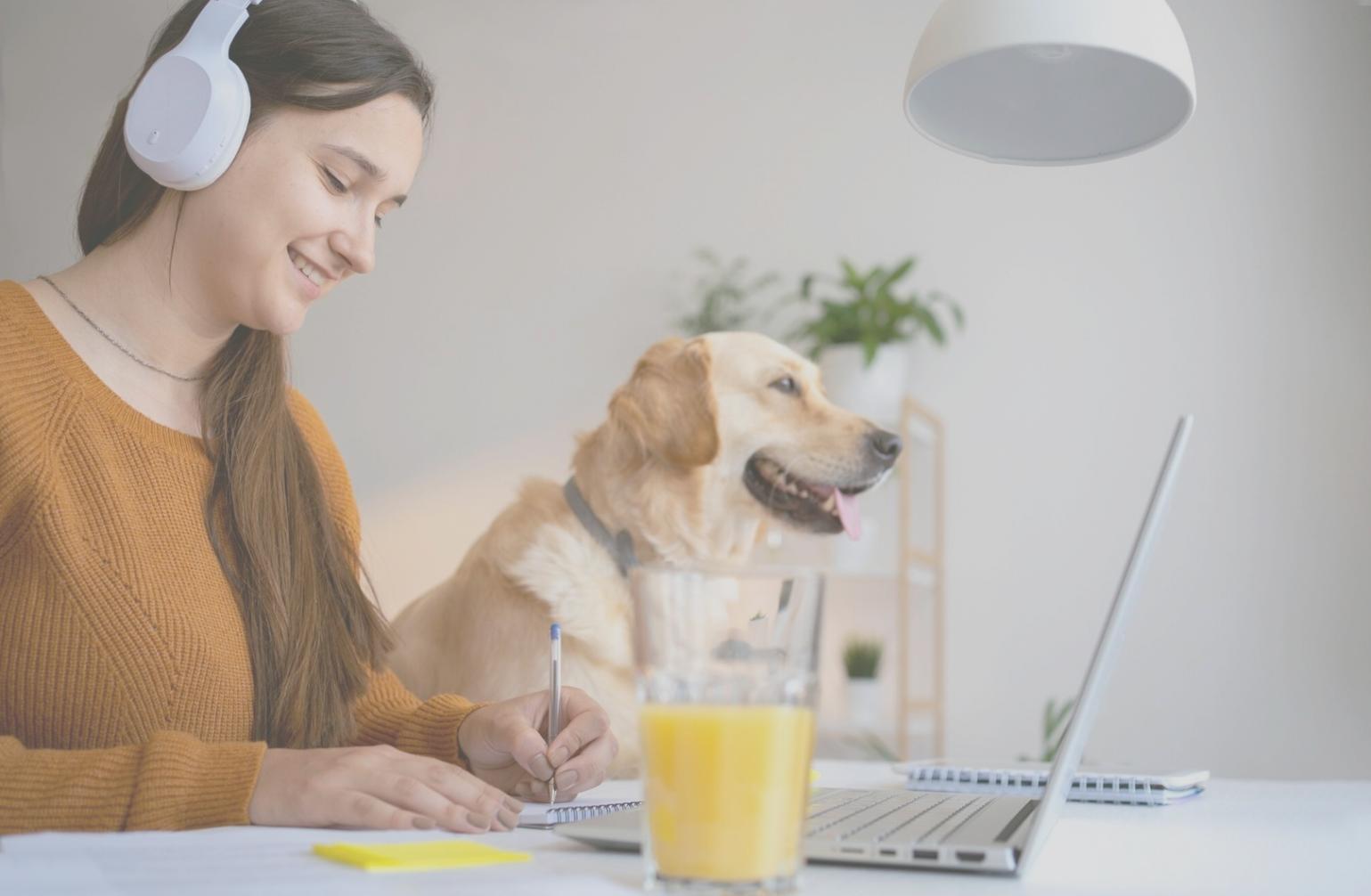 Finanzplanung und Budgetierung